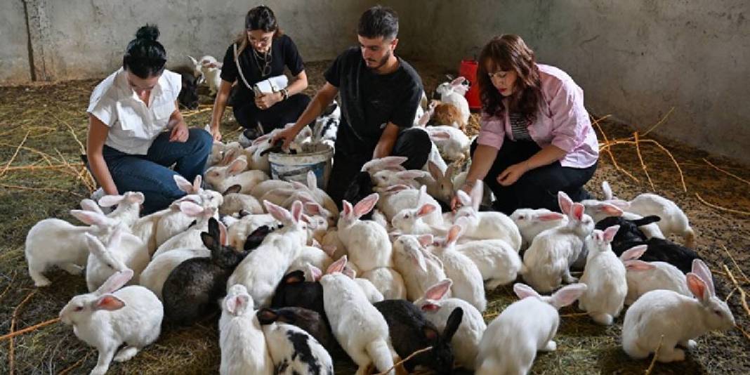 İnternette gördü, kendi çiftliğini kurdu! 6 ayda sayıları 500’e çıktı: Hedefi yurt dışına açılmak 3